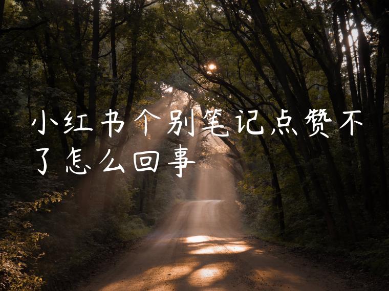 小红书个别笔记点赞不了怎么回事 小红书个别笔记点赞不了怎么回事