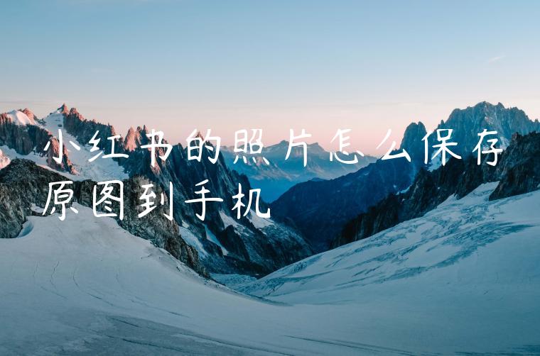 小红书的照片怎么保存原图到手机 小红书的照片怎么保存原图到手机