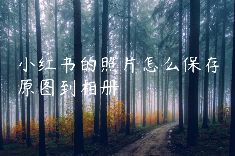 小红书的照片怎么保存原图到相册