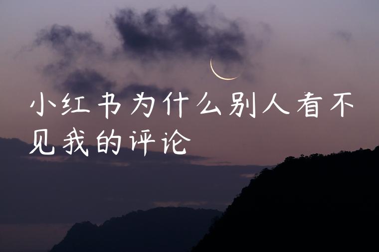 小红书为什么别人看不见我的评论