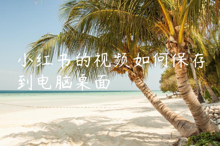 小红书的视频如何保存到电脑桌面 小红书的视频如何保存到电脑桌面