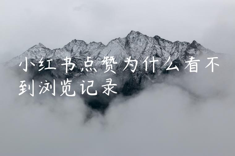 小红书点赞为什么看不到浏览记录