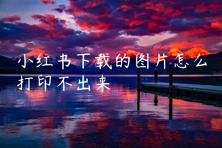小红书下载的图片怎么打印不出来 小红书下载的图片怎么打印不出来