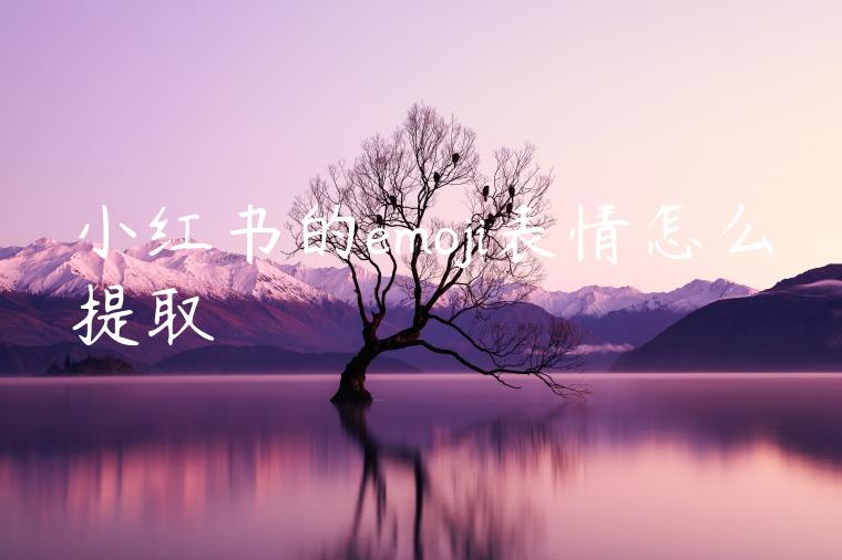 小红书的emoji表情怎么提取 小红书的emoji表情怎么提取