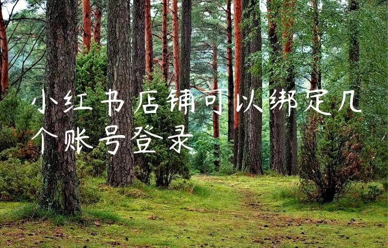 小红书店铺可以绑定几个账号登录