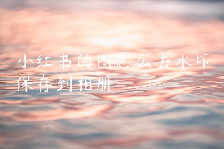 小红书的图怎么去水印保存到相册