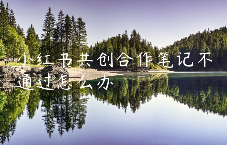 小红书共创合作笔记不通过怎么办 小红书共创合作笔记不通过怎么办