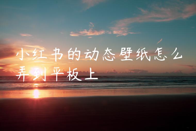 小红书的动态壁纸怎么弄到平板上