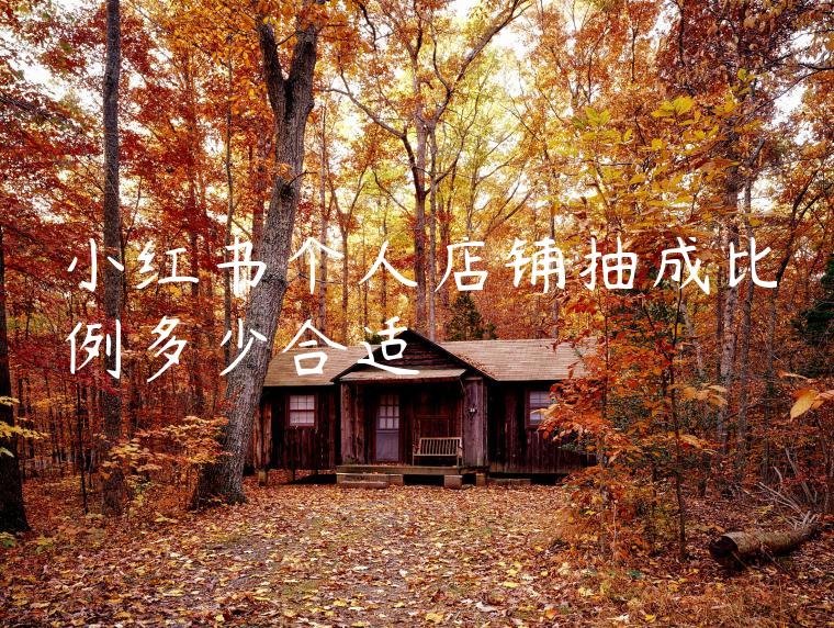 小红书个人店铺抽成比例多少合适 小红书个人店铺抽成比例多少合适