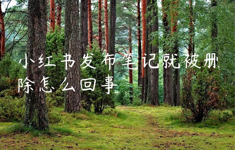 小红书发布笔记就被删除怎么回事