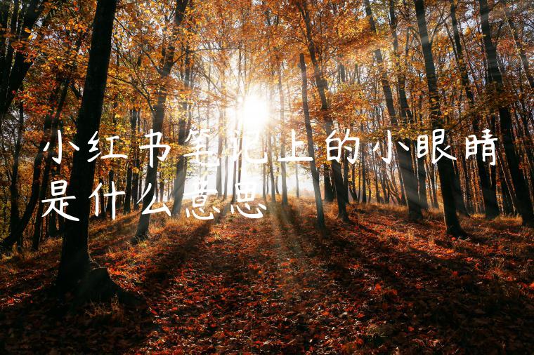 小红书笔记上的小眼睛是什么意思