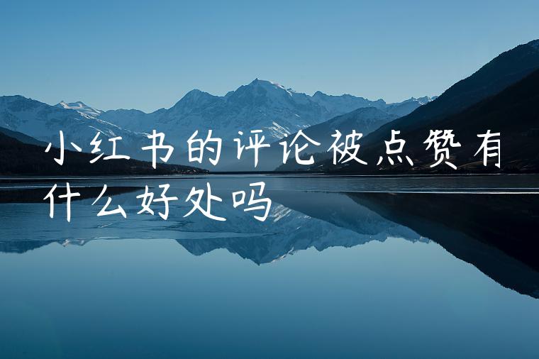 小红书的评论被点赞有什么好处吗