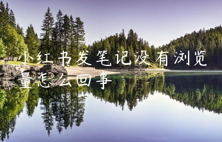 小红书发笔记没有浏览量怎么回事