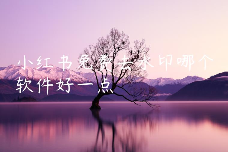 小红书免费去水印哪个软件好一点 小红书免费去水印哪个软件好一点