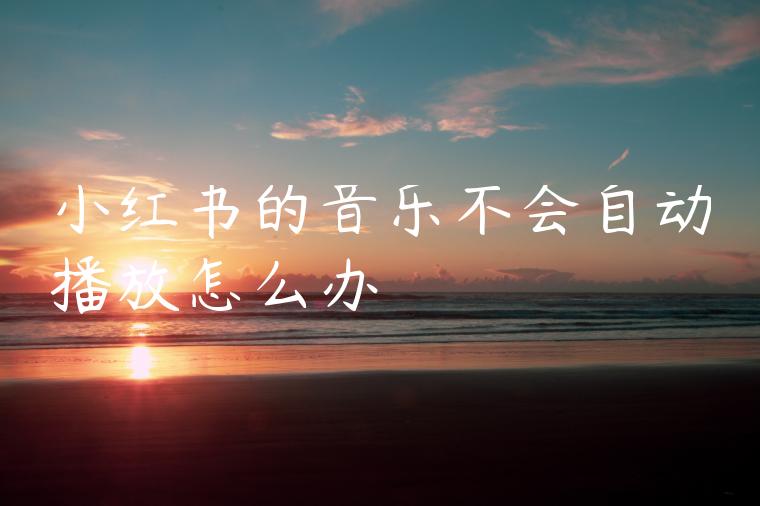 小红书的音乐不会自动播放怎么办