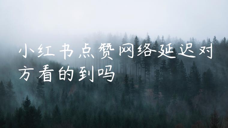 小红书点赞网络延迟对方看的到吗 小红书点赞网络延迟对方看的到吗