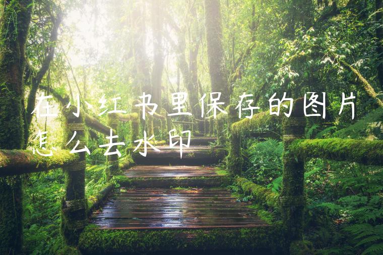 在小红书里保存的图片怎么去水印 在小红书里保存的图片怎么去水印