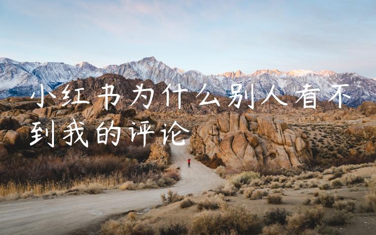 小红书为什么别人看不到我的评论 小红书为什么别人看不到我的评论