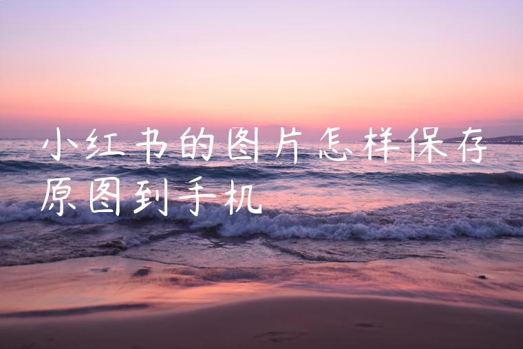 小红书的图片怎样保存原图到手机 小红书的图片怎样保存原图到手机