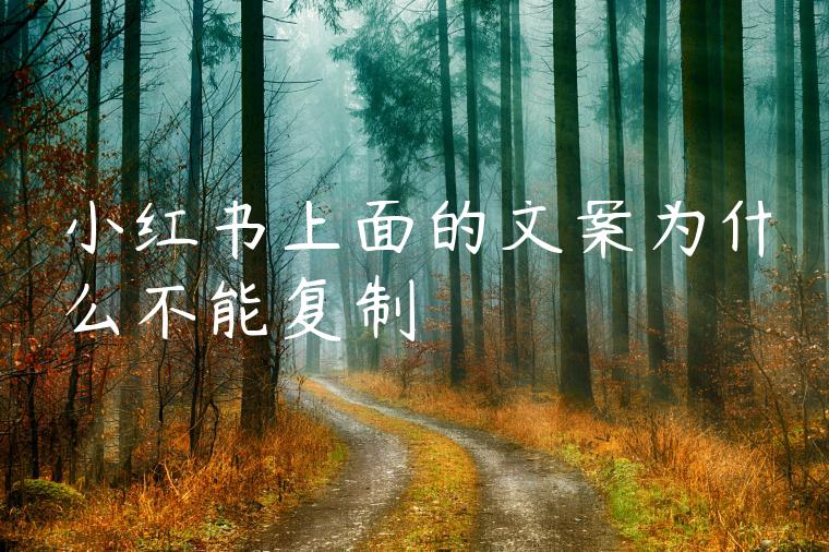 小红书上面的文案为什么不能复制