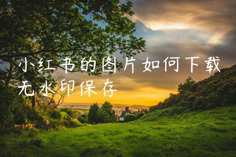 小红书的图片如何下载无水印保存