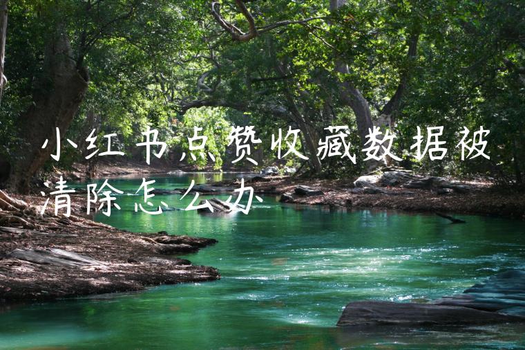 小红书点赞收藏数据被清除怎么办