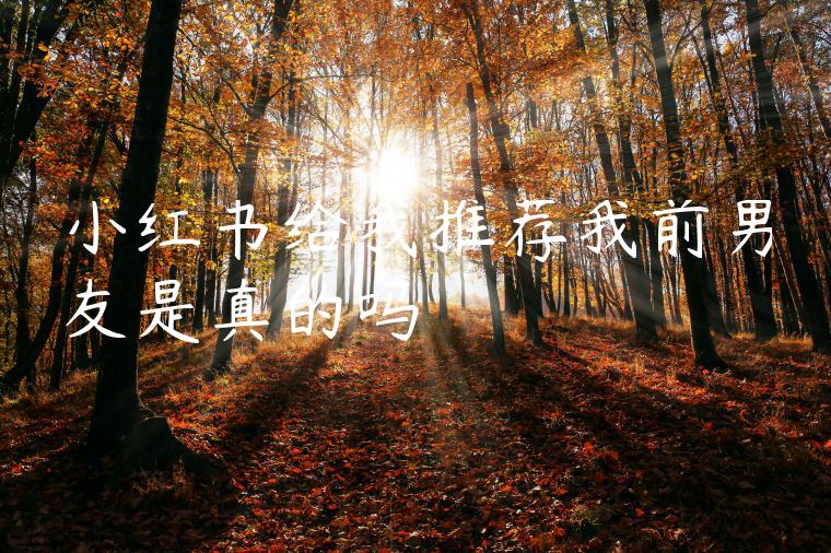 小红书给我推荐我前男友是真的吗 小红书给我推荐我前男友是真的吗