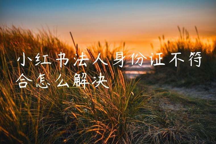 小红书法人身份证不符合怎么解决