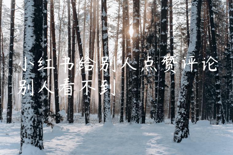 小红书给别人点赞评论别人看不到