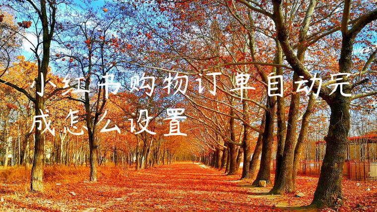 小红书购物订单自动完成怎么设置