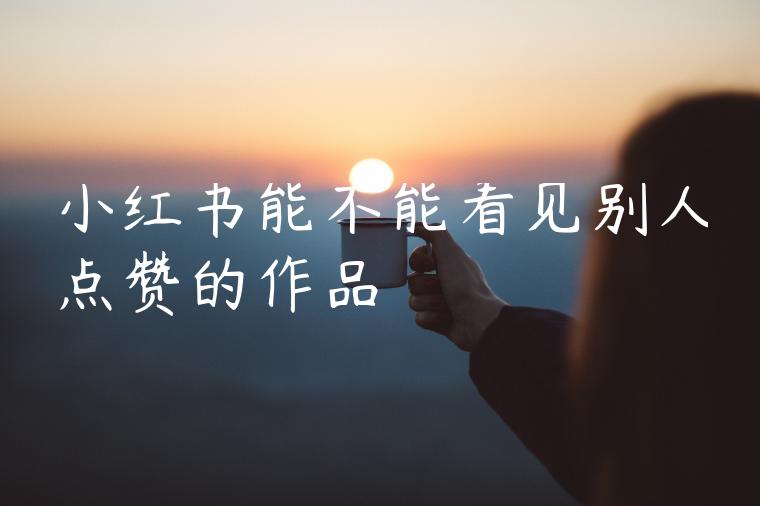 小红书能不能看见别人点赞的作品