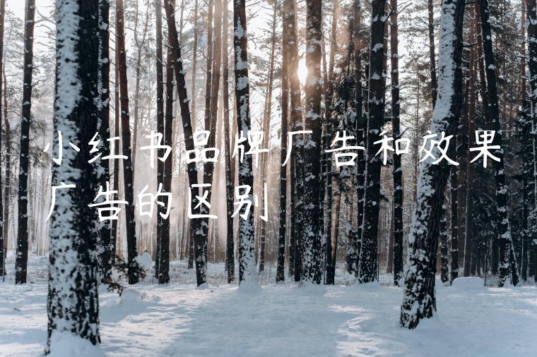 小红书品牌广告和效果广告的区别 小红书品牌广告和效果广告的区别