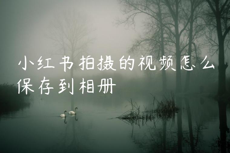 小红书拍摄的视频怎么保存到相册 小红书拍摄的视频怎么保存到相册