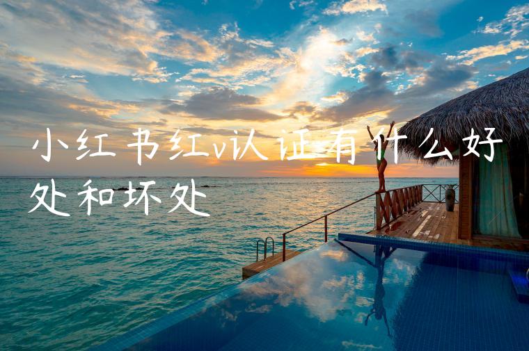 小红书红v认证有什么好处和坏处 小红书红v认证有什么好处和坏处