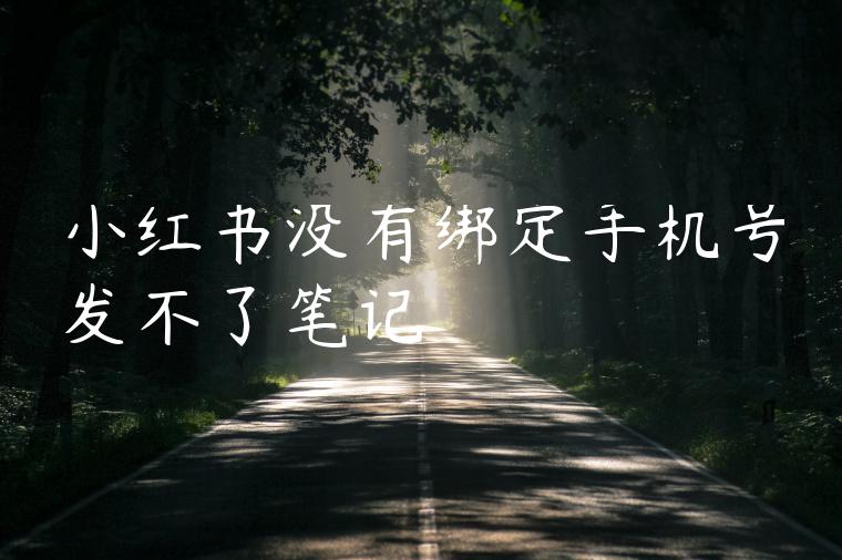 小红书没有绑定手机号发不了笔记 小红书没有绑定手机号发不了笔记