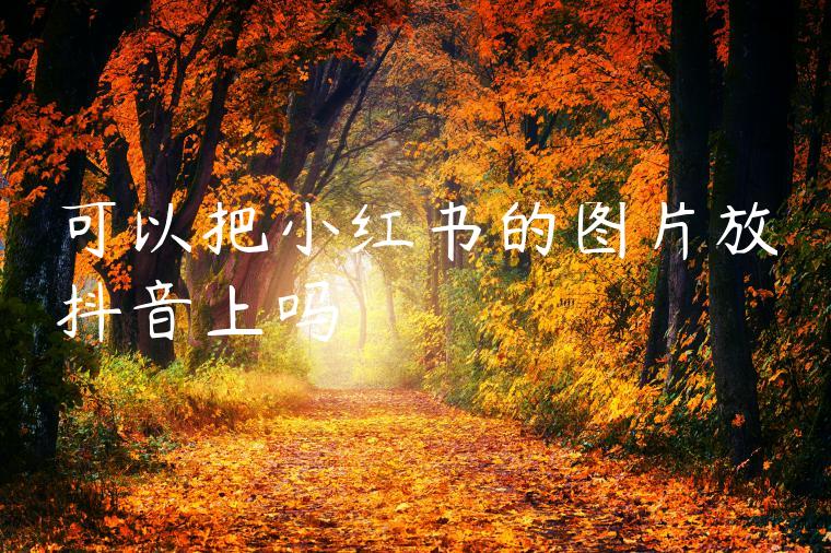 可以把小红书的图片放抖音上吗 可以把小红书的图片放抖音上吗