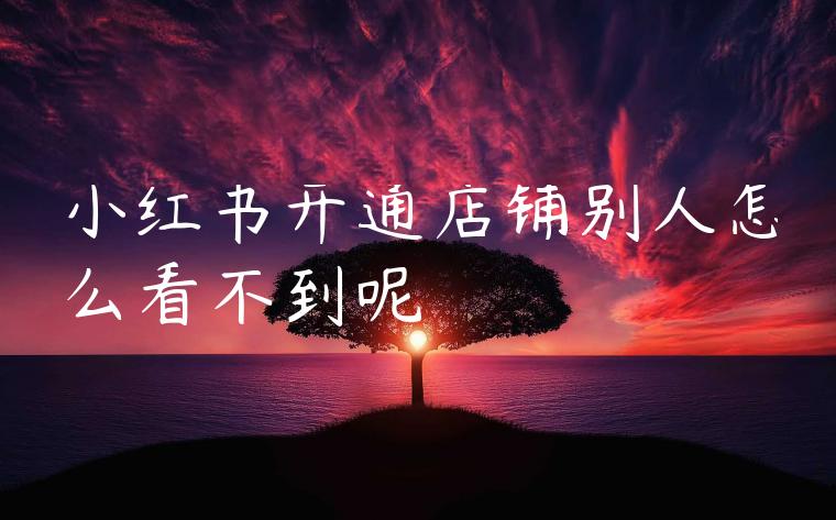 小红书开通店铺别人怎么看不到呢 小红书开通店铺别人怎么看不到呢