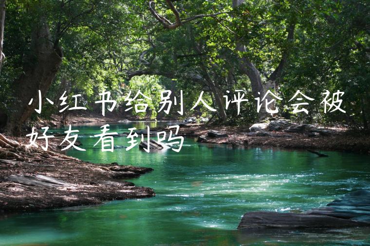 小红书给别人评论会被好友看到吗