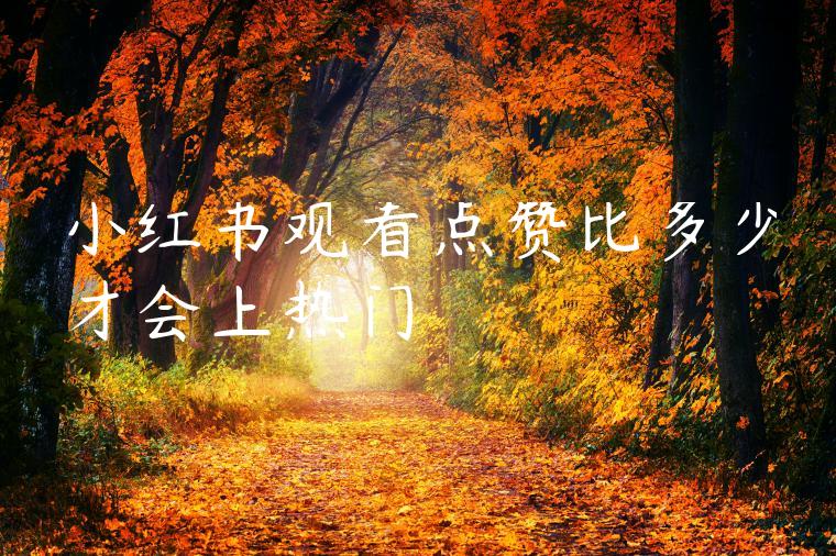 小红书观看点赞比多少才会上热门
