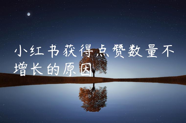 小红书获得点赞数量不增长的原因