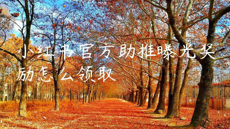 小红书官方助推曝光奖励怎么领取