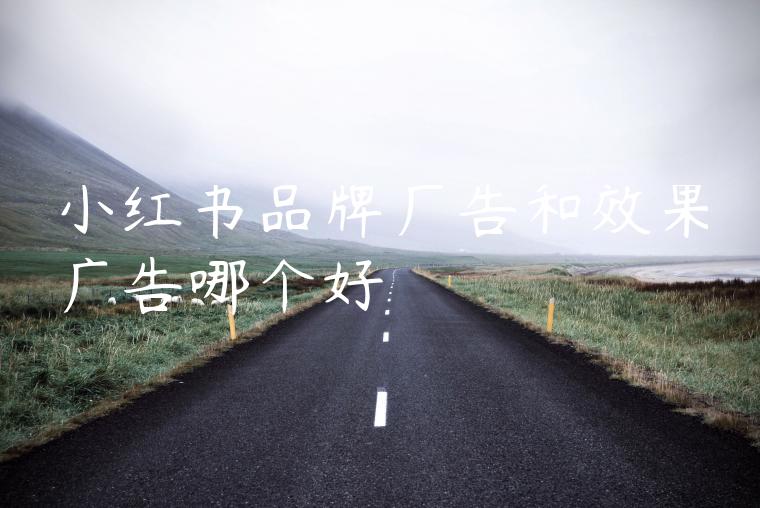 小红书品牌广告和效果广告哪个好 小红书品牌广告和效果广告哪个好
