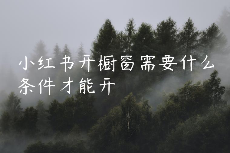 小红书开橱窗需要什么条件才能开 小红书开橱窗需要什么条件才能开