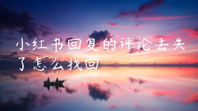 小红书回复的评论丢失了怎么找回
