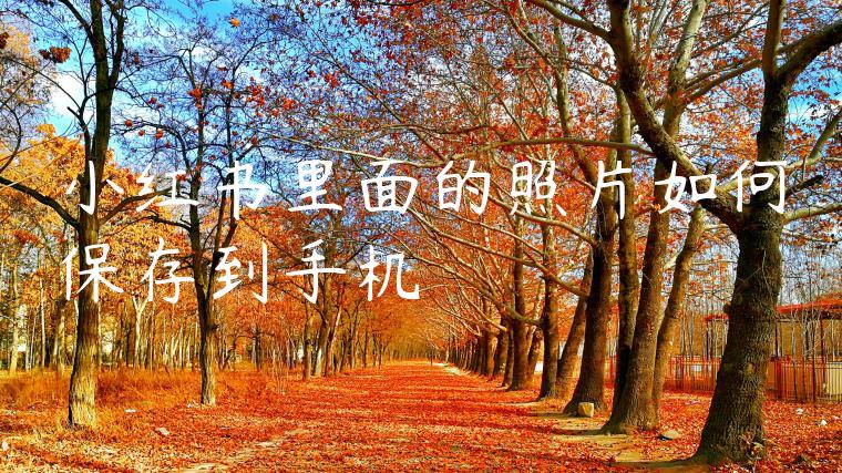 小红书里面的照片如何保存到手机 小红书里面的照片如何保存到手机