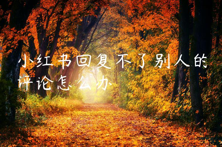 小红书回复不了别人的评论怎么办 小红书回复不了别人的评论怎么办