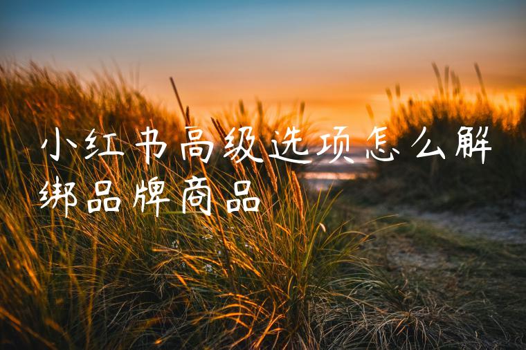 小红书高级选项怎么解绑品牌商品