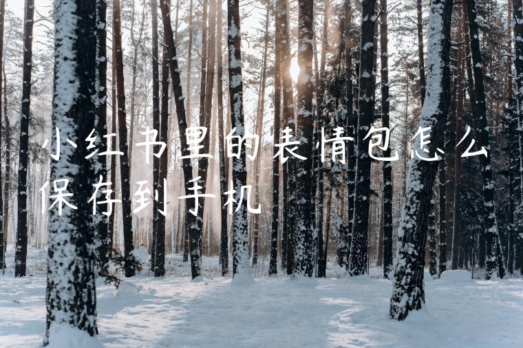 小红书里的表情包怎么保存到手机 小红书里的表情包怎么保存到手机