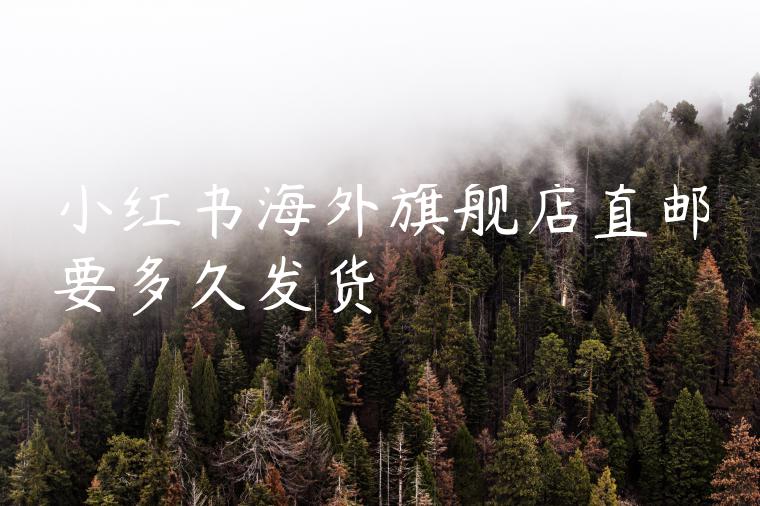 小红书海外旗舰店直邮要多久发货