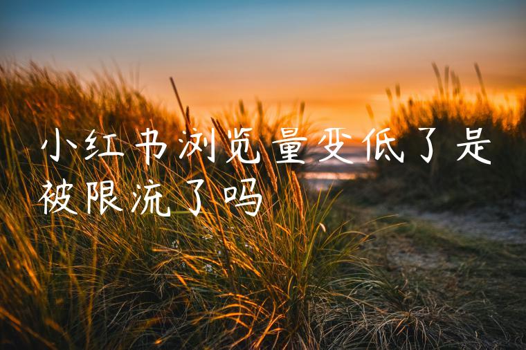小红书浏览量变低了是被限流了吗 小红书浏览量变低了是被限流了吗